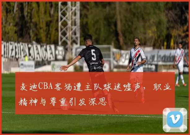 麦迪CBA客场遭主队球迷嘘声，职业精神与尊重引发深思